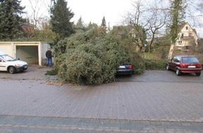 Polizeiinspektion Hameln-Pyrmont/Holzminden: POL-HOL: Auswirkungen des Sturms der letzten Nacht: Baum auf PKW gestürzt - Raum Bodenwerder stark betroffen -