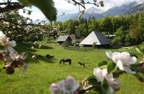 Ballenberg - Freilichtmuseum der Schweiz: Aufbruch in die Vergangenheit: Am 11. April 2024 öffnet das Freilichtmuseum Ballenberg seine Türen mit dem diesjährigen Jahresthema "Weltweit unterwegs", Geschichten vom Aufbruch und Ankommen.