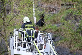 FW-MK: Hund aus Steinwand gerettet