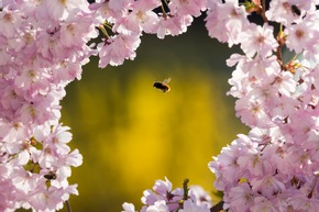 NATIONAL GEOGRAPHIC und OLYMPUS zeichnen den &quot;Fotografen des Jahres 2017&quot; aus