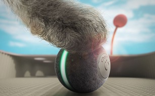 MHH Medien Handel GmbH: Elektrisches Katzenspielzeug zum Auspowern online kaufen - Upgrade des beliebten Mini Ball von cheerble