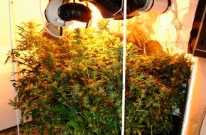 Polizeiinspektion Cuxhaven: POL-CUX: Polizei stellt Cannabis-Plantage sicher (Bild vorhanden) + Ehepaar aus brennendem Wohnhaus gerettet
