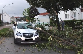 Polizei Minden-Lübbecke: POL-MI: Baumstamm durchstößt Windschutzscheibe