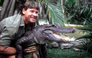 TELE 5: Australiens wildester Reptilien-Jäger ab 21.02. auf TELE 5:
Steve Irwins Dokuserie 'Crocodile Hunter' montags um 20.15 Uhr und das Kino-Abenteuer 'Crocodile Hunter - Auf Crash-Kurs', 9.3., 20.15 Uhr (mit Bild)