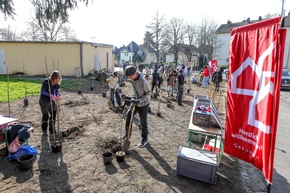 BAUHAUS pflanzt Waldinsel in Bonn