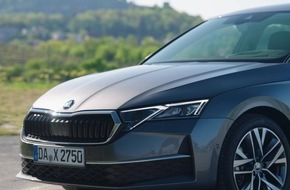 Škoda Octavia: aufgefrischter Markenbestseller