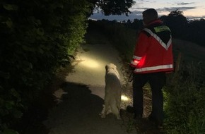 Feuerwehr Iserlohn: FW-MK: Iserlohner Rettungshunde unterstützen in Breckerfeld