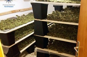 Polizeipräsidium Nordhessen - Kassel: POL-KS: Cannabis-Plantage in Waldeck ausgehoben: Drei Tatverdächtige festgenommen