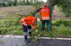 Feuerwehr Flotwedel: FW Flotwedel: Zwei umgestürzte Bäume behindern den Straßenverkehr bei Langlingen