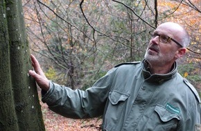 ZDF: Der Baumflüsterer: ZDF.reportage über Wohllebens Wald-Geheimnisse (FOTO)