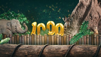 MDR Mitteldeutscher Rundfunk: 1000 Folgen „Elefant, Tiger & Co.“ im MDR – die „Urmutter der deutschen Zoo-Dokusoaps“ feiert Jubiläum