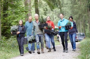 Bergwaldprojekt e.V.: Investieren in Nachhaltigkeit und Ökosysteme - Mit Kooperation und Konzept Nachhaltigkeitsengagement professionell umsetzen