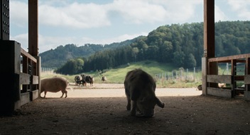 BR Bayerischer Rundfunk: Hauptpreis VIKTORIA Main Competition f&uuml;r Schweizer Film "The Narrative" / kinokino Publikumspreis geht an BR-Doku "When Pigs Fly" ("Wenn Schweine fliegen")