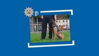Polizeipräsidium Oberhausen: POL-OB: Mutmaßlicher Dieb schläft im Diebesgut - Diensthund "Figo" erfolgreich im Einsatz