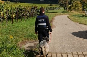 Polizeidirektion Landau: POL-PDLD: Edenkoben - Polizeilicher Begleitschutz