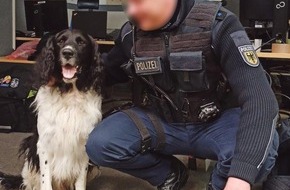 Bundespolizeidirektion Sankt Augustin: BPOL NRW: Verängstigter Hund weckt Aufmerksamkeit von Bundespolizisten - Oscar und Herrchen kurz darauf wieder vereint