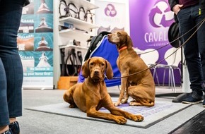 Koelnmesse GmbH: Zuwachs auf vier Pfoten: Koelnmesse startet 2027 neues Messeangebot rund um das Thema Hund