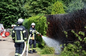 Freiwillige Feuerwehr Hamb&uuml;hren: FW Hamb&uuml;hren: Unkraut abflammen? Keine gute Idee! - Feuerwehr Hamb&uuml;hren r&uuml;ckt zu Heckenbrand aus