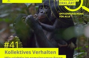 Universität Konstanz: Gemeinsames Essen bei Menschen und Bonobos, PI Nr. 23/2024