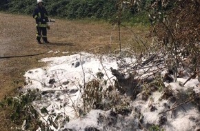 Freiwillige Feuerwehr Lügde: FW Lügde: Feuer 1 / erneuter Heckenbrand