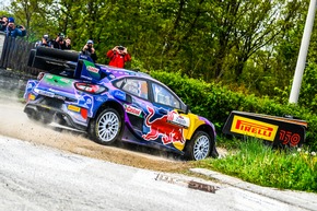 Mit flotten Flundern durchs flache Flandern: M-Sport Ford schickt drei Puma Hybrid Rally1 zur WM-Rallye Belgien