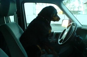 Polizeiinspektion Hildesheim: POL-HI: Rottweilerpärchen besetzt Streifenwagen
