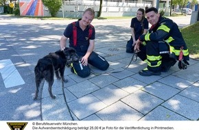 Feuerwehr München: FW-M: Hund aus geparktem Auto gerettet (Bogenhausen)