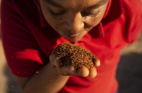 GEPA mbH: Stiftung Warentest: Gesamtnote 1,9 für Bio Rooibos Tee der GEPA / GEPA als einer von zwei Testsiegern - bei einzelnen Kriterien viermal sehr gut, zweimal gut