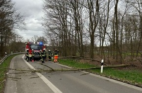 Freiwillige Feuerwehr der Gemeinde Sonsbeck: FW Sonsbeck: Umgest&uuml;rzter Baum in der Zufahrt zur A57