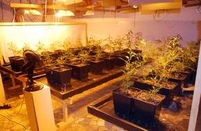 Polizeiinspektion Harburg: POL-WL: Marihuana-Plantage ausgehoben