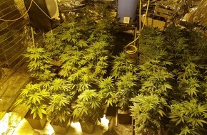 Kreispolizeibehörde Märkischer Kreis: POL-MK: Cannabis-Plantage mit 50 Pflanzen stillgelegt