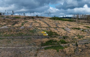 BUND: ++ Regen reicht nicht: Wälder leiden weiter unter Dürrestress – Zukunftsweisende Bundeswaldgesetz-Novelle für ökologische Waldwende nötig | #Trockenheit