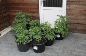 Polizeiinspektion Emsland/Grafschaft Bentheim: POL-EL: Vrees - Marihuanapflanzen bei Wohnungseinbruch entdeckt