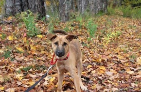 VIER PFOTEN - Stiftung für Tierschutz: Hunde und Katzen kennen keine Uhren