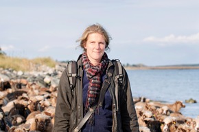Landschaftspfleger auf vier Beinen zur&uuml;ck auf Sylt