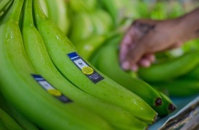 EDEKA ZENTRALE Stiftung & Co. KG: Meilenstein beim nachhaltigeren Bananenprojekt von EDEKA und WWF: Früchte jetzt auch aus Costa Rica