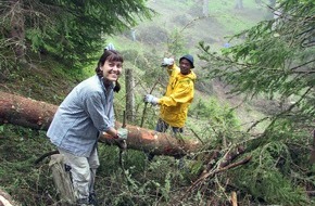 Stiftung Bergwaldprojekt: Anpacken in Langwies - 21 Freiwillige der Stiftung Bergwaldprojekt im Schutzwald tätig