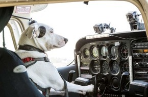 Sky Deutschland: Sky lässt Hunde fliegen: Factual-Entertainment-Format "Dogs might fly" exklusiv auf Sky 1