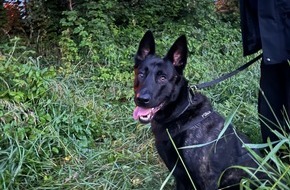 Polizei Duisburg: POL-DU: Overbruch: Polizeihund Cooper findet mutmaßlichen Einbrecher