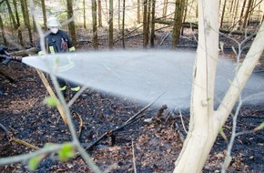 Kreisfeuerwehrverband Rendsburg-Eckernförde: FW-RD: Waldbrand in Felde - 100 Einsatzkräfte im Einsatz In der Straße Sandweg, in Felde, kam es Heute (28.04.2021) gegen 17:35 Uhr zu einem Feuer im Wald