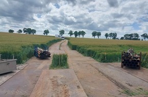 AFRY Deutschland GmbH: AFRY unterstützt die Übertragung sauberer Energie in Deutschland