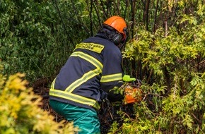 Feuerwehr Iserlohn: FW-MK: Heckenbrand am Nu&szlig;berg