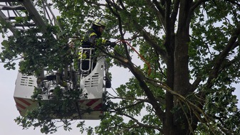 FW Celle: Wetterbedingte Einsätze am Donnerstag
