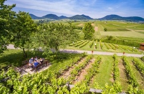 Südliche Weinstraße e.V.: Neuer Picknick-Service der Südlichen Weinstrasse für Genuss zwischen Wald, Wein und Wiesen