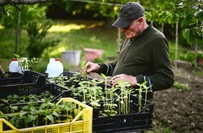 LAG Jungen- und Männerarbeit Sachsen e.V. - Bundesfach- und Koordinierungsstelle Männergewaltschutz: Mit Veilchen im Gemüsegarten? Wie gewaltbetroffene Männer Hilfe finden