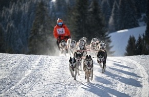 Bad Hindelang Tourismus: 4.000 Besucher bei Schlittenhunde-Weltcup in Unterjoch - Spektakel im Allgäu sorgt für Begeisterung bei Mensch und Tier