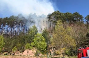 Polizeidirektion Pirmasens: POL-PDPS: Waldbrand