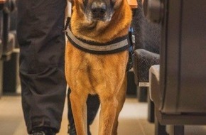 Bundespolizeiinspektion Trier: BPOL-TR: Gepäckstück in Regionalbahn vergessen - Sprengstoffspürhund der Bundespolizei im Einsatz