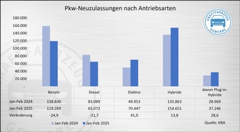 ZDK Zentralverband Deutsches Kraftfahrzeuggewerbe e.V.: Trotz Anstieg im Februar bekräftigt Kfz-Gewerbe E-Auto-Förderbedarf