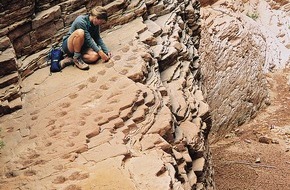 NATIONAL GEOGRAPHIC DEUTSCHLAND: Forscher von NATIONAL GEOGRAPHIC entdecken fossile Tierpfade
